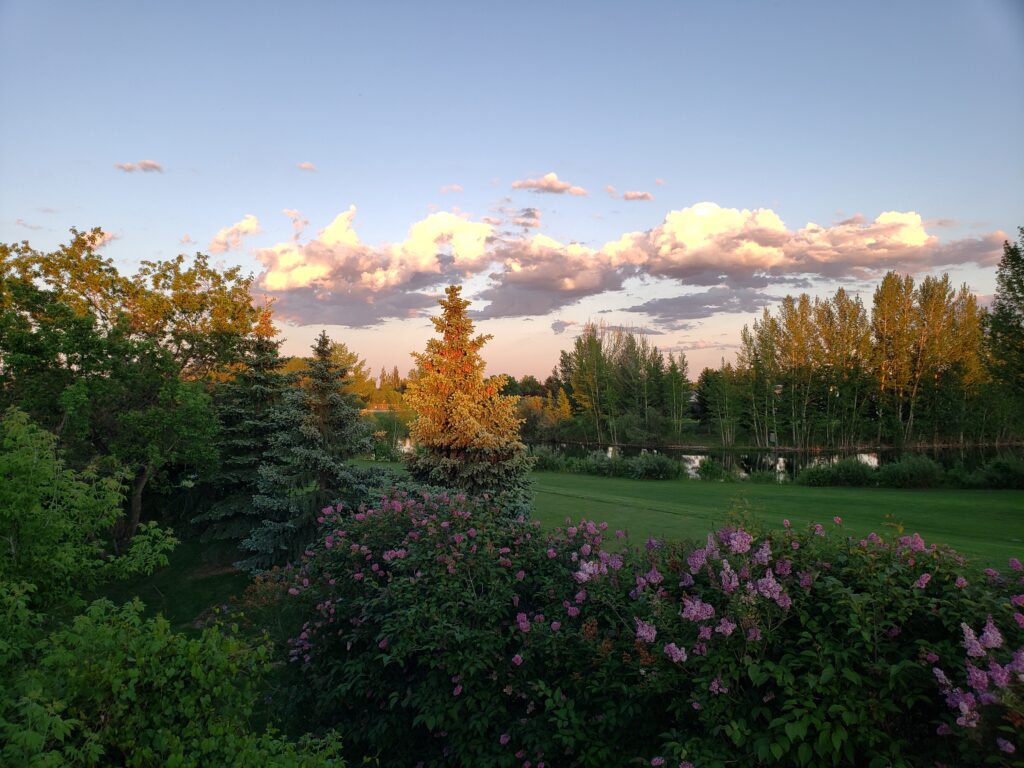Early Evening View of Golf Course from Mezzanine Patio